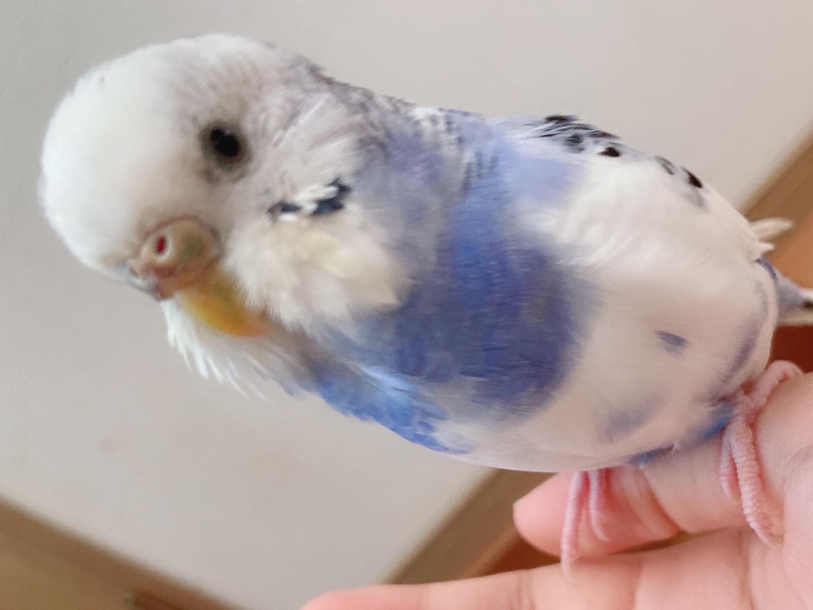 まるちゃん まるちゃん