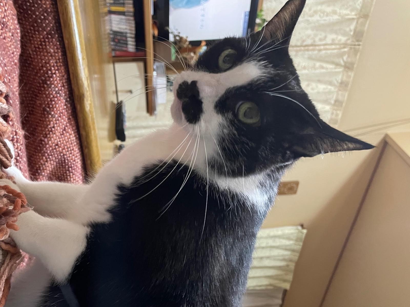 アランちゃん アランちゃん