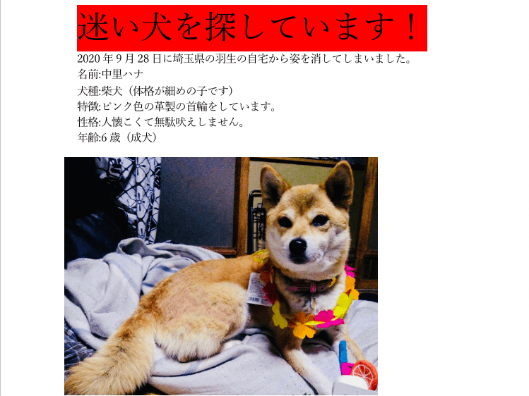 ハナちゃん ハナちゃん