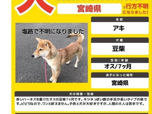 アキちゃん アキちゃん