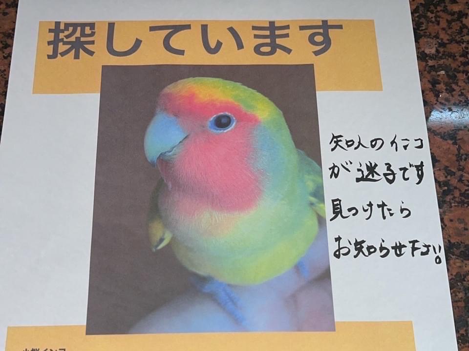 オクラちゃん オクラちゃん