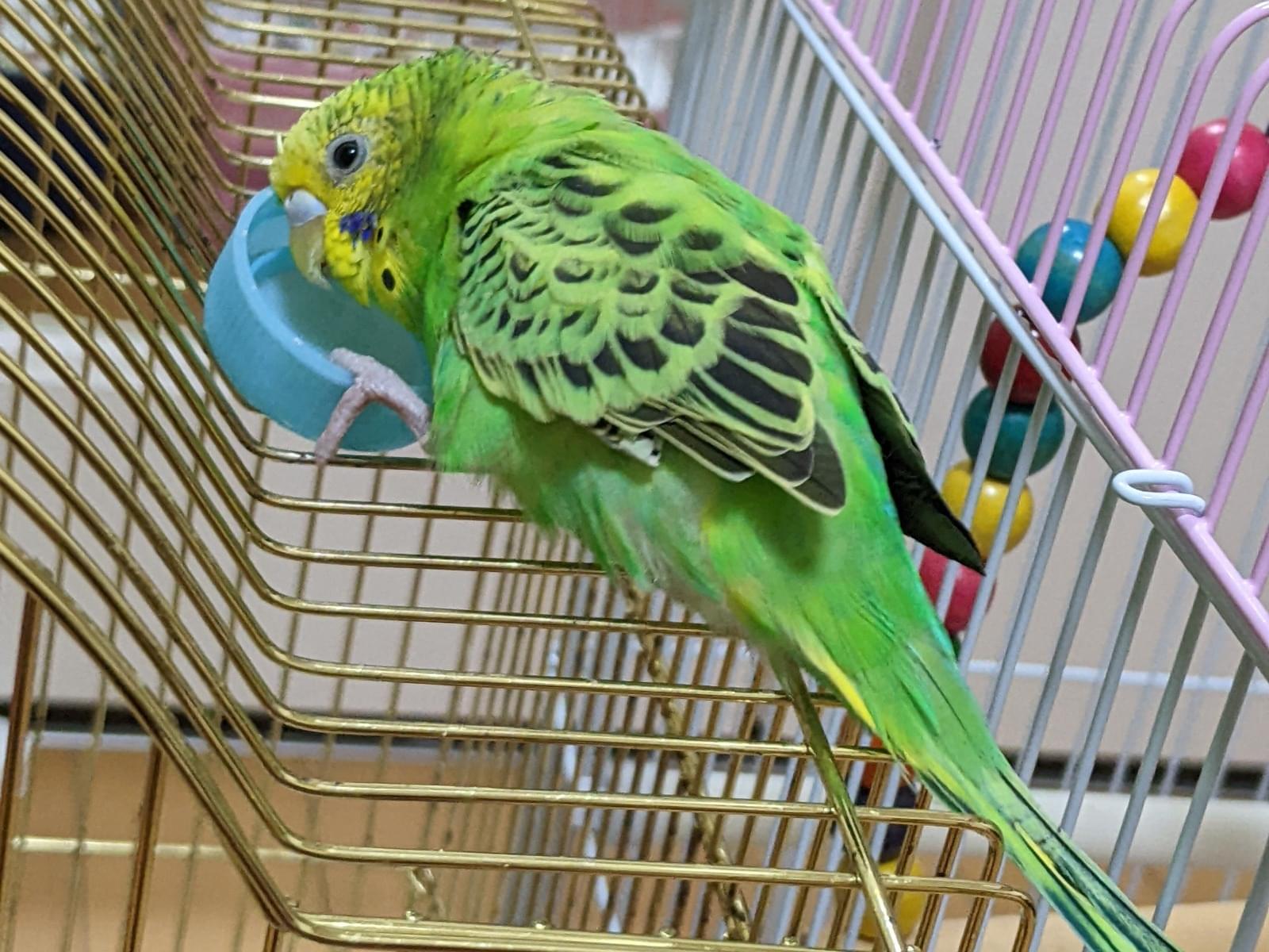 みーちゃん