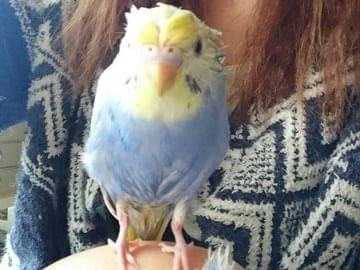 しーちゃん しーちゃん