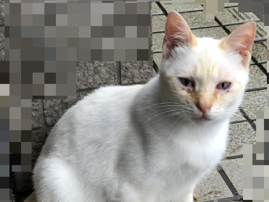 おもちちゃん おもちちゃん