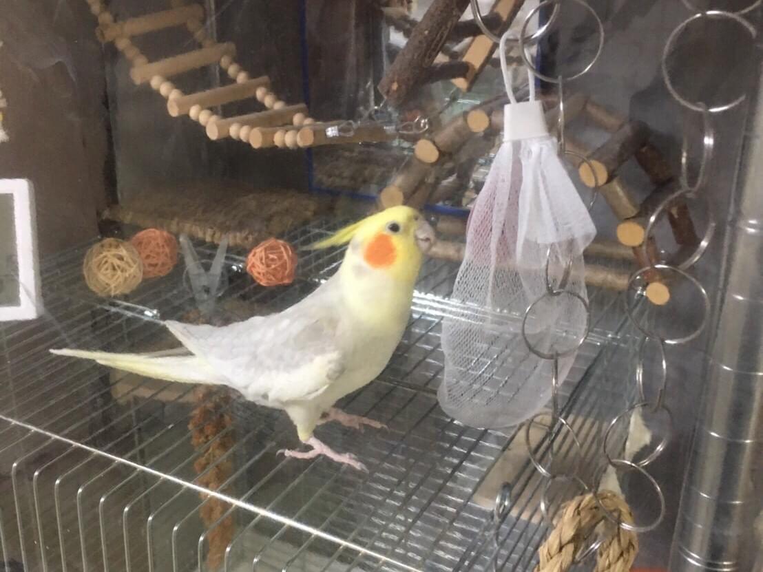 まりちゃん まりちゃん
