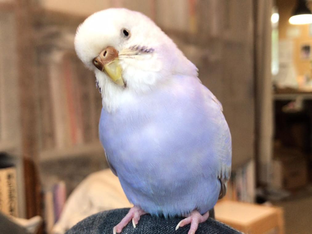 そらちゃん そらちゃん
