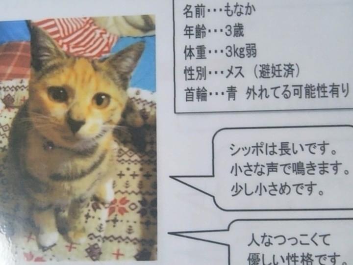 もなかちゃん もなかちゃん