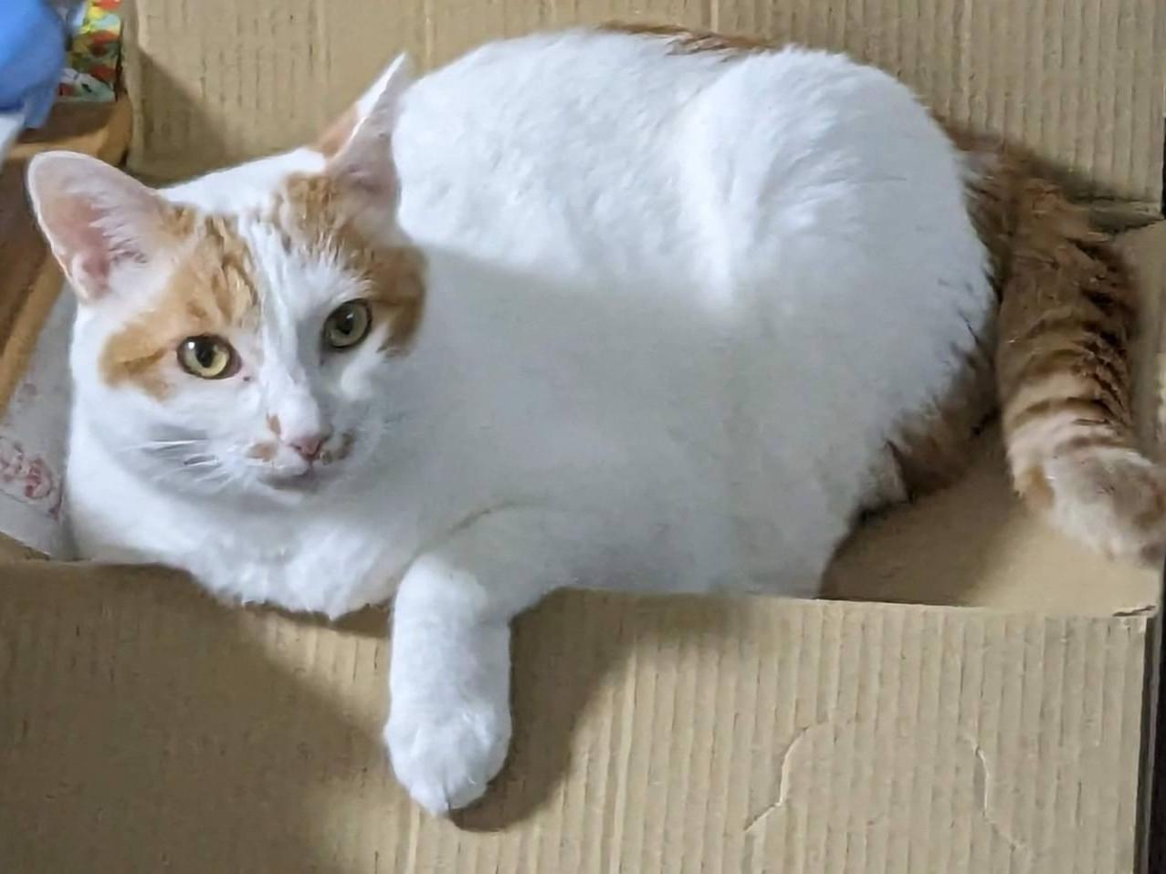 ななちゃん ななちゃん