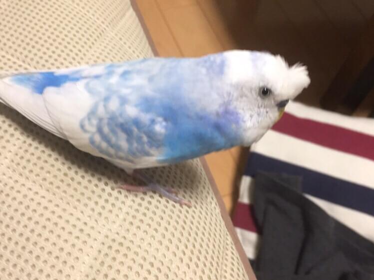 あーちゃん あーちゃん
