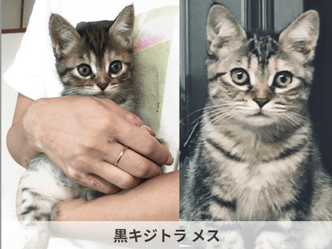 こじこじちゃん こじこじちゃん