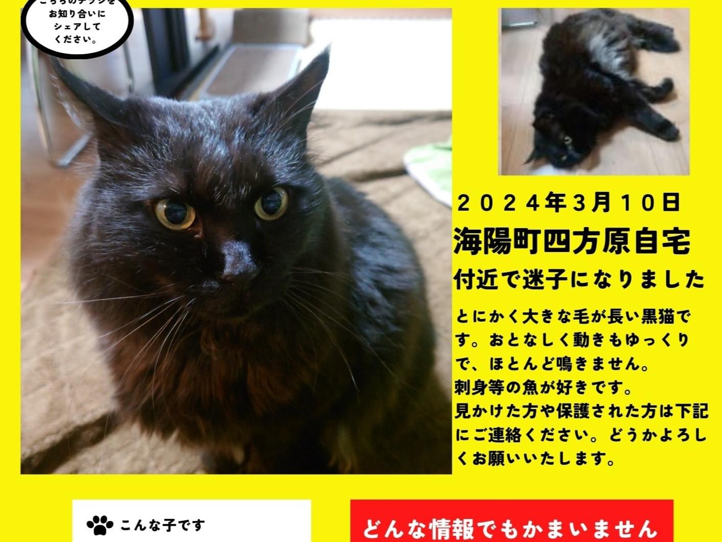 くまちゃん くまちゃん