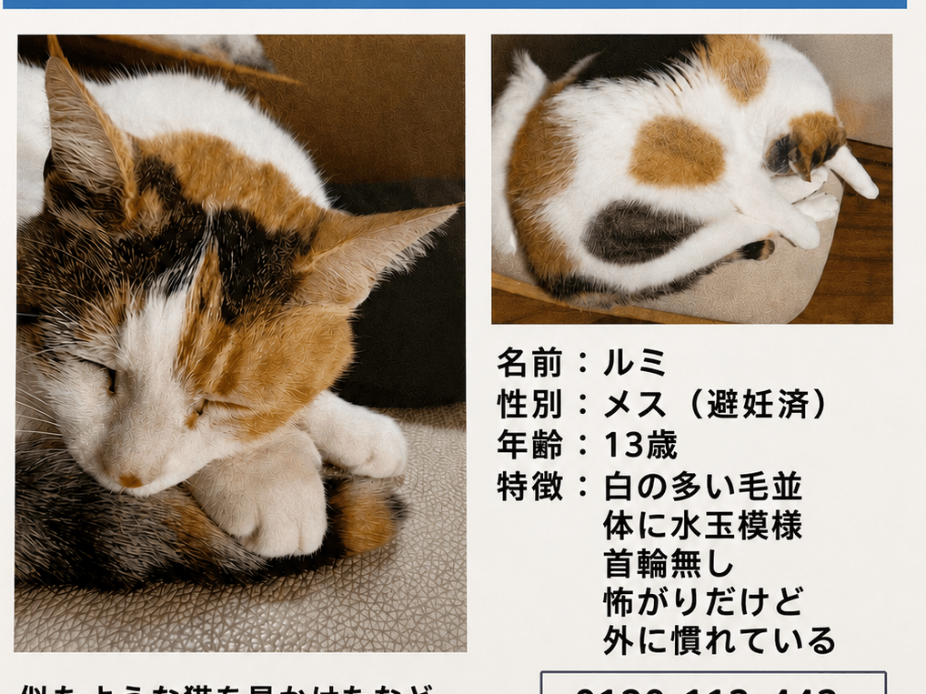 ルミちゃん