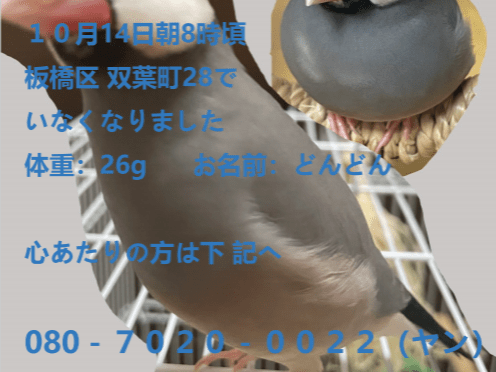 どんどんちゃん どんどんちゃん