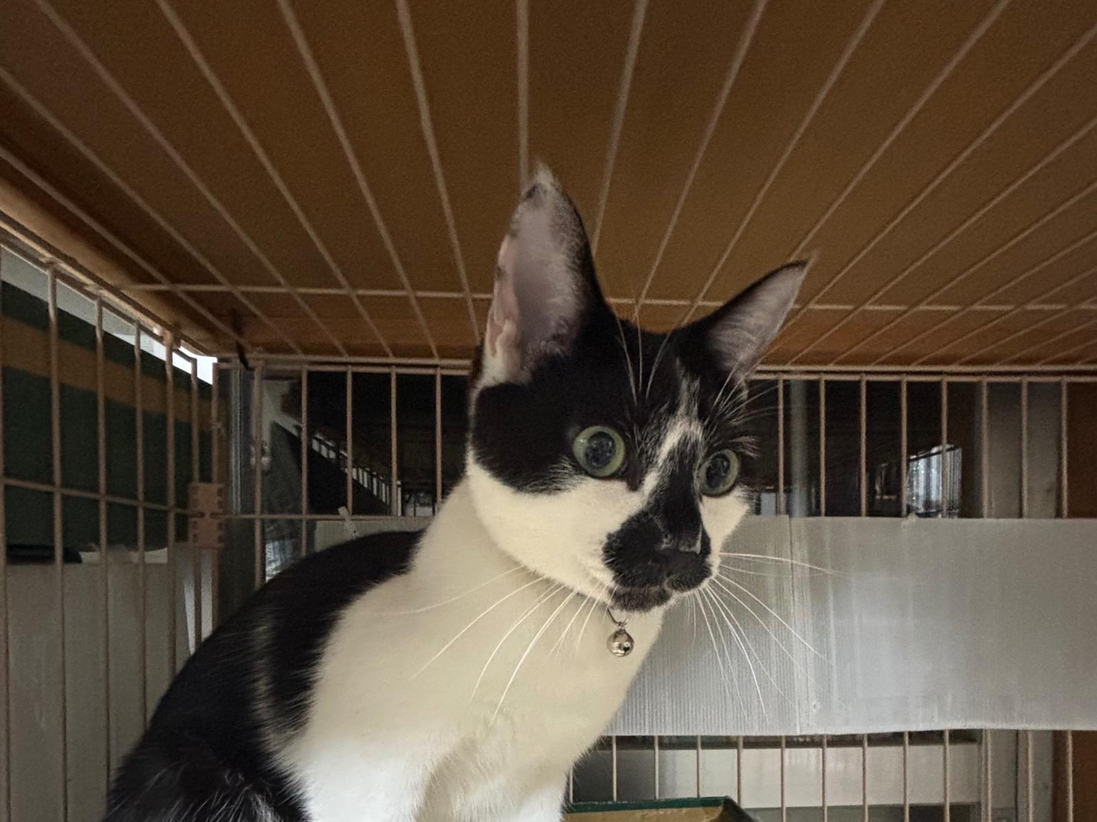 仁ちゃん 仁ちゃん