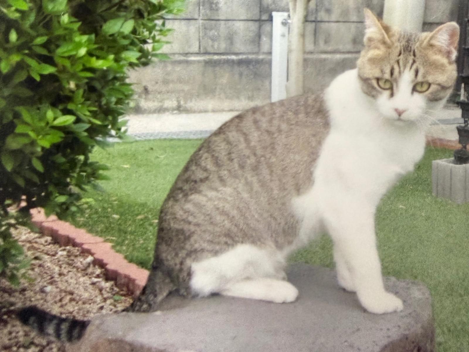 リクちゃん リクちゃん