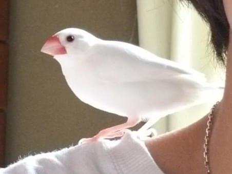 ちびちゃん ちびちゃん