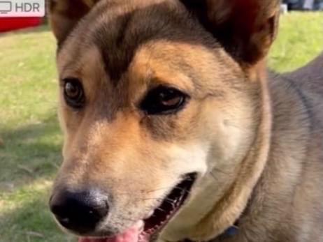 モロちゃん モロちゃん