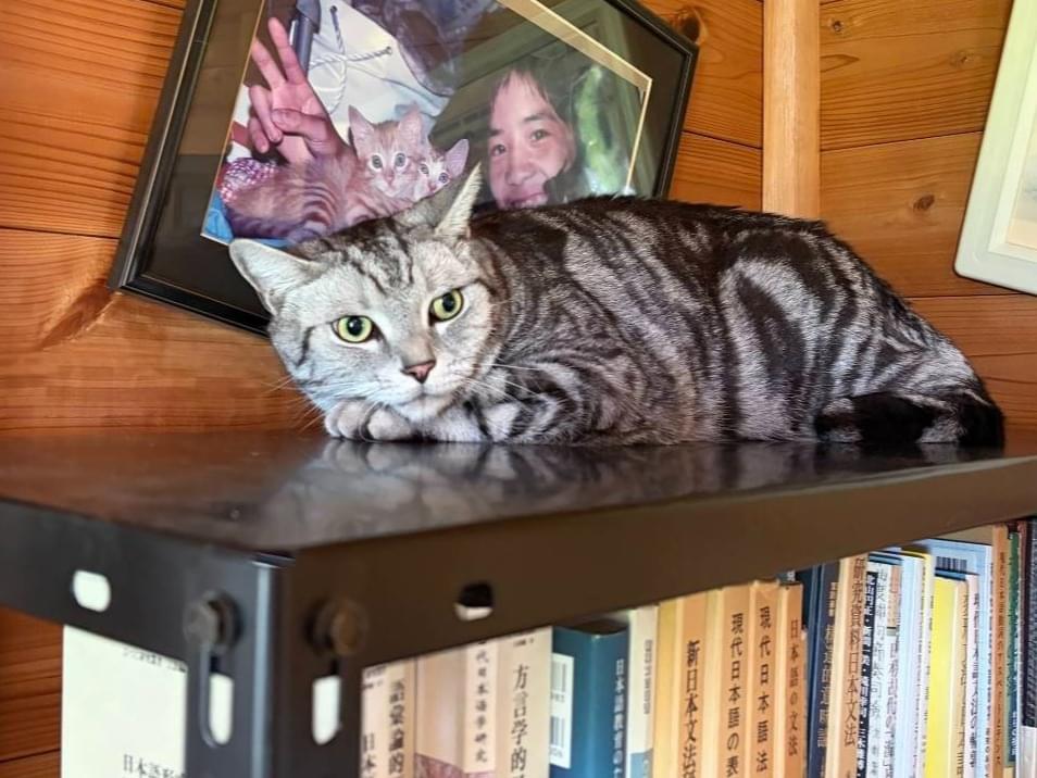 ソールちゃん ソールちゃん