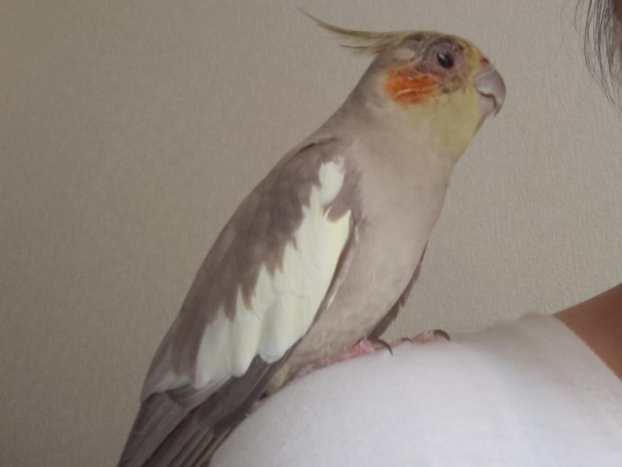 アスラちゃん アスラちゃん