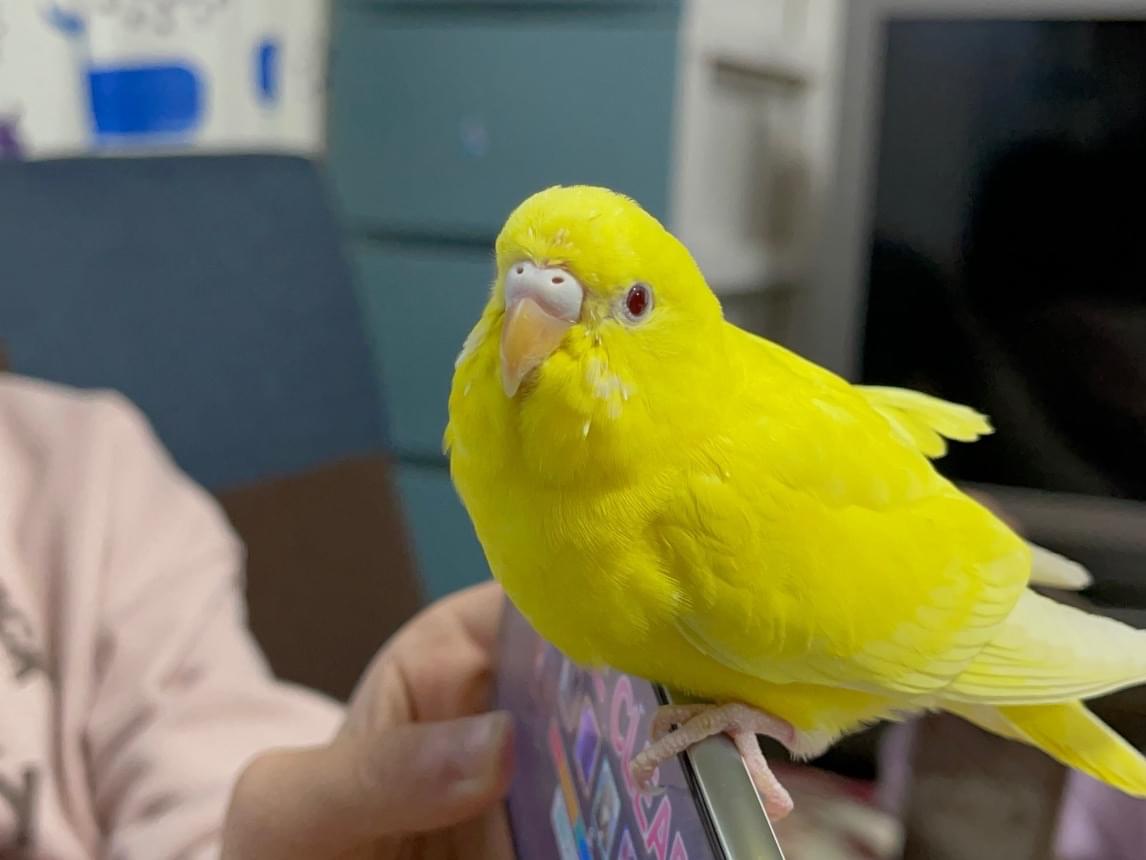 キキちゃん キキちゃん