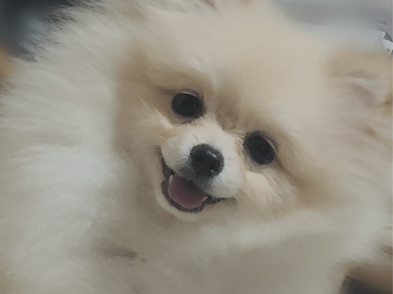 ララちゃん ララちゃん