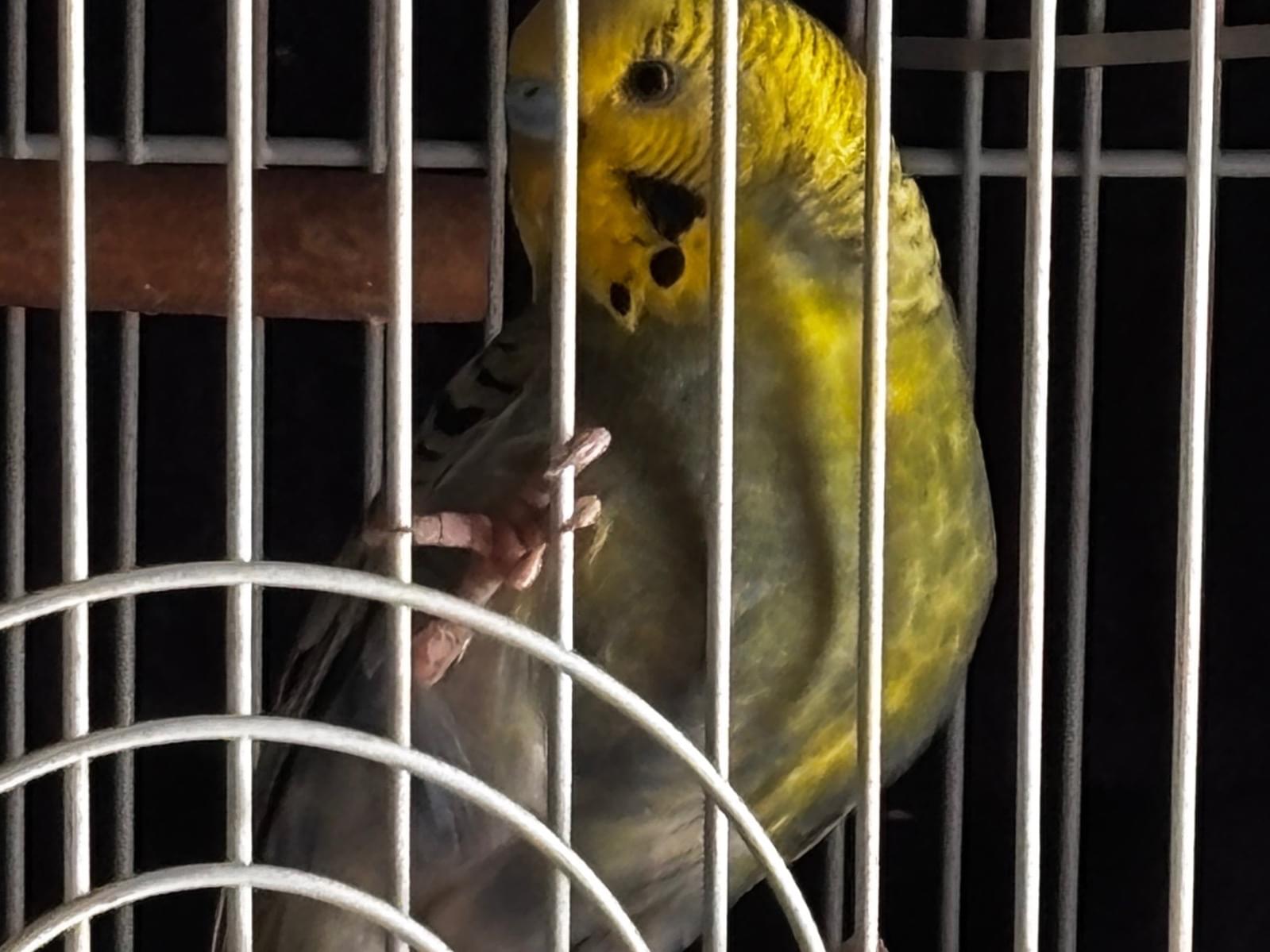 みーちゃん みーちゃん