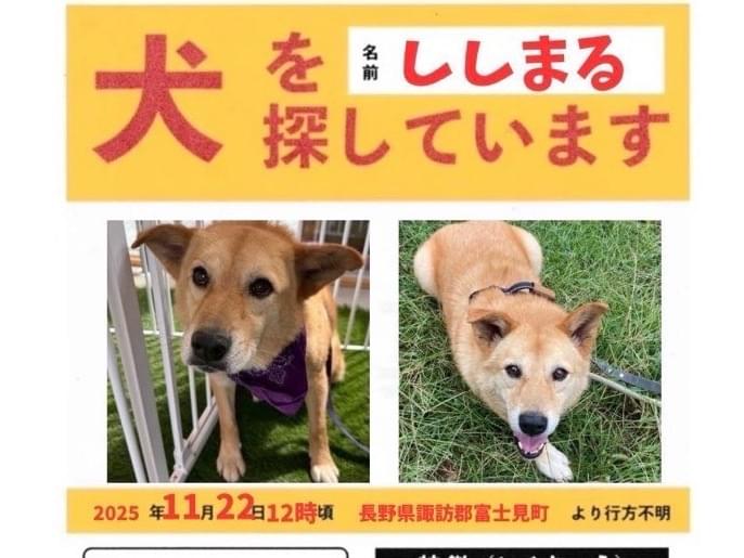 ししまるちゃん