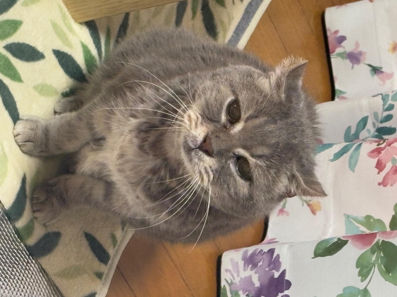 うたちゃん うたちゃん