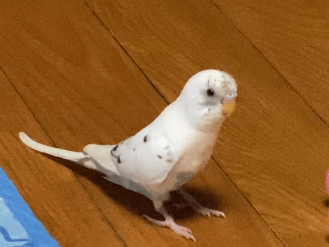 みなちゃん みなちゃん