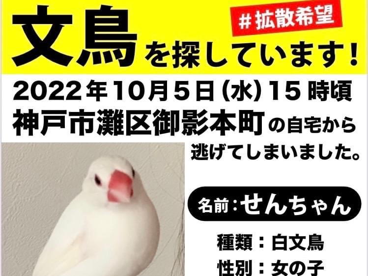 せんちゃん せんちゃん
