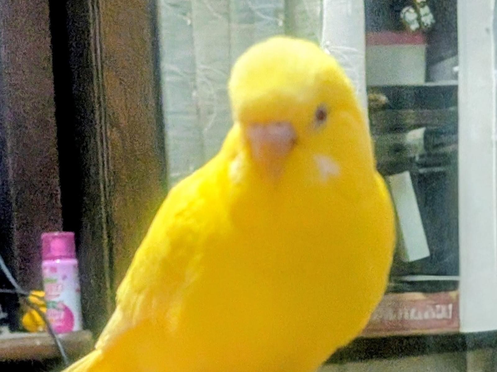 キキちゃん キキちゃん