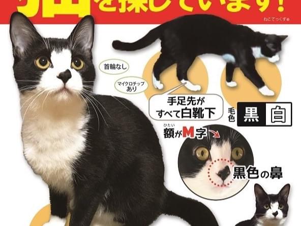 いおんちゃん いおんちゃん