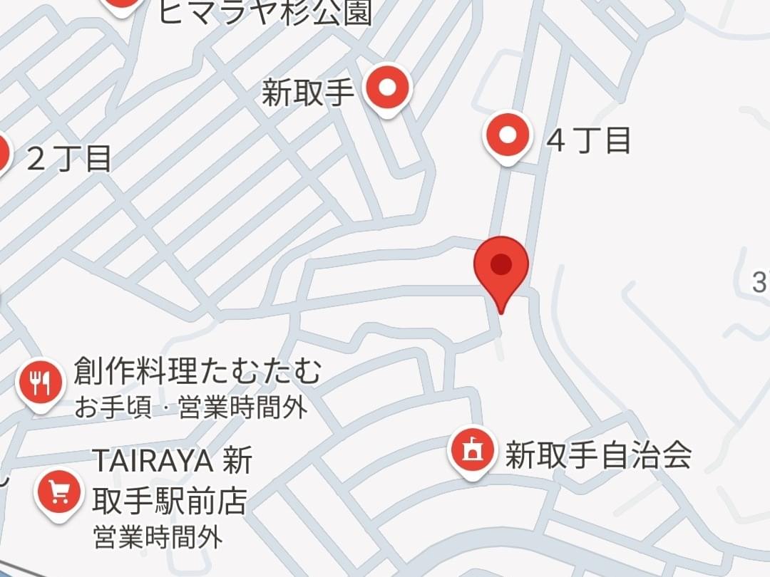 目撃された猫 目撃された猫