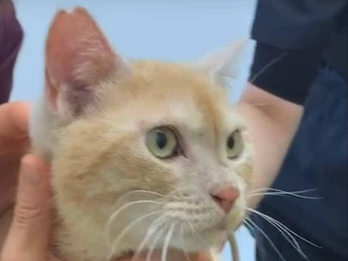 Baobaoちゃん Baobaoちゃん