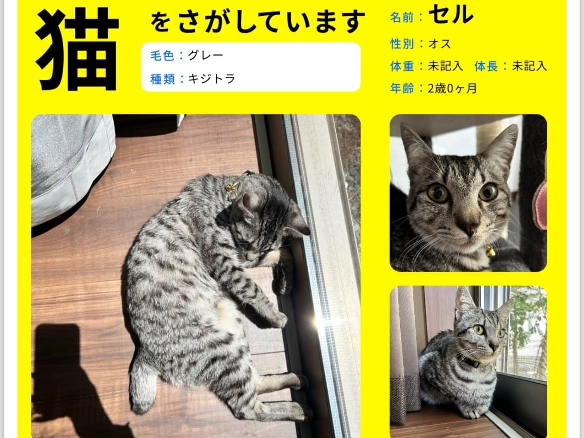 セルちゃん セルちゃん