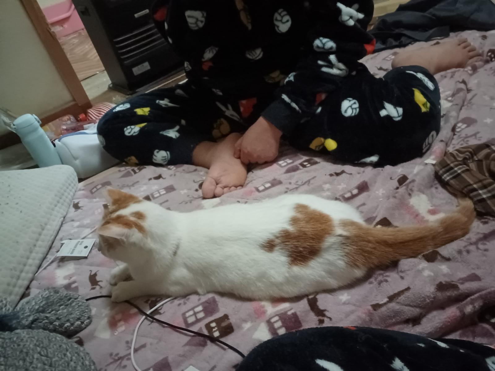 レオンちゃん レオンちゃん