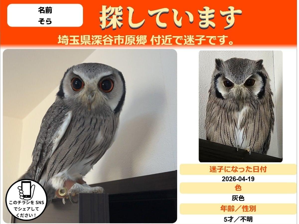 そらちゃん