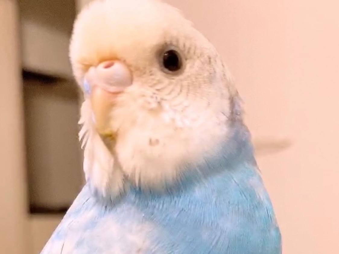 ちーちゃん ちーちゃん