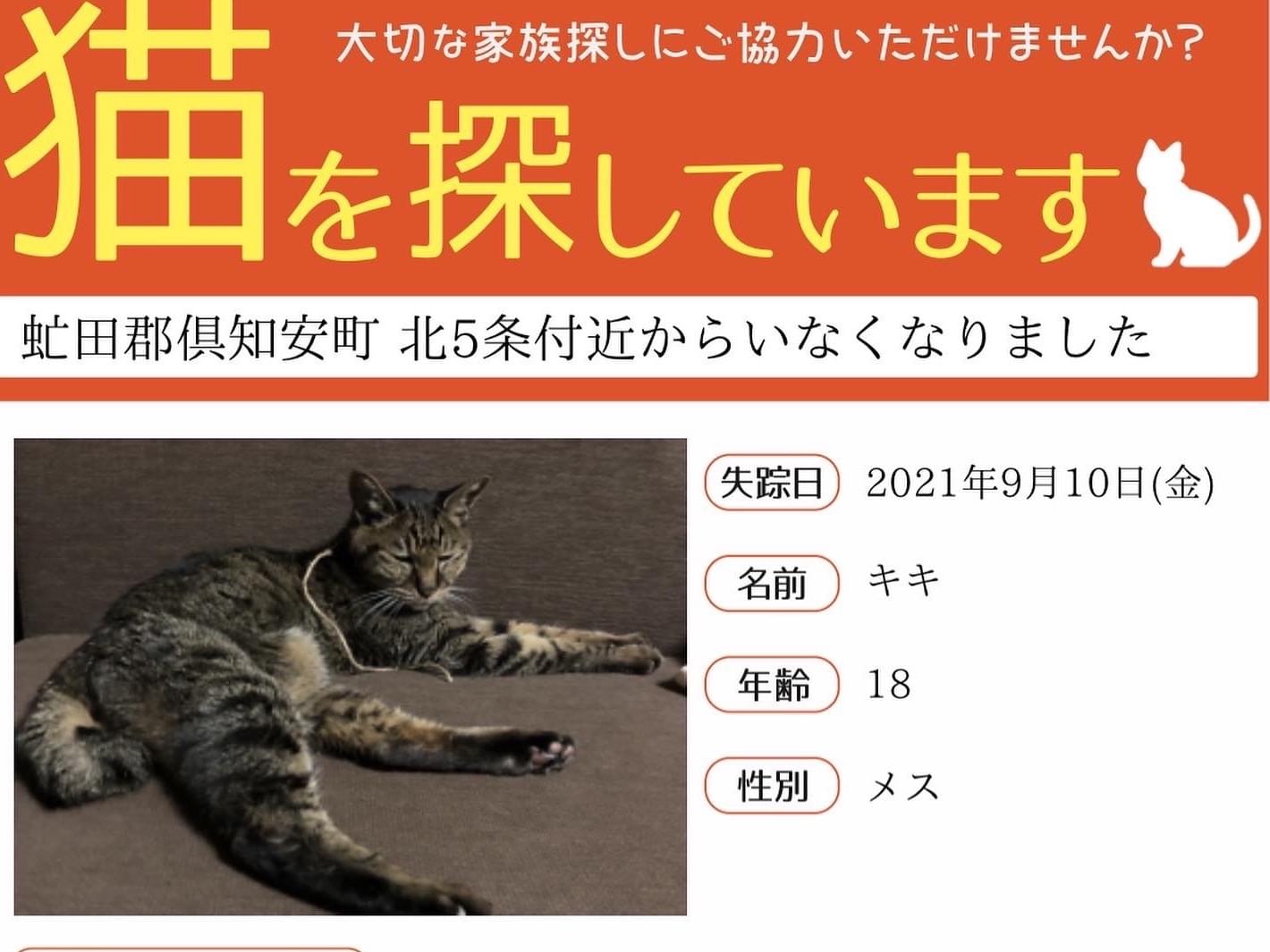 キキちゃん キキちゃん