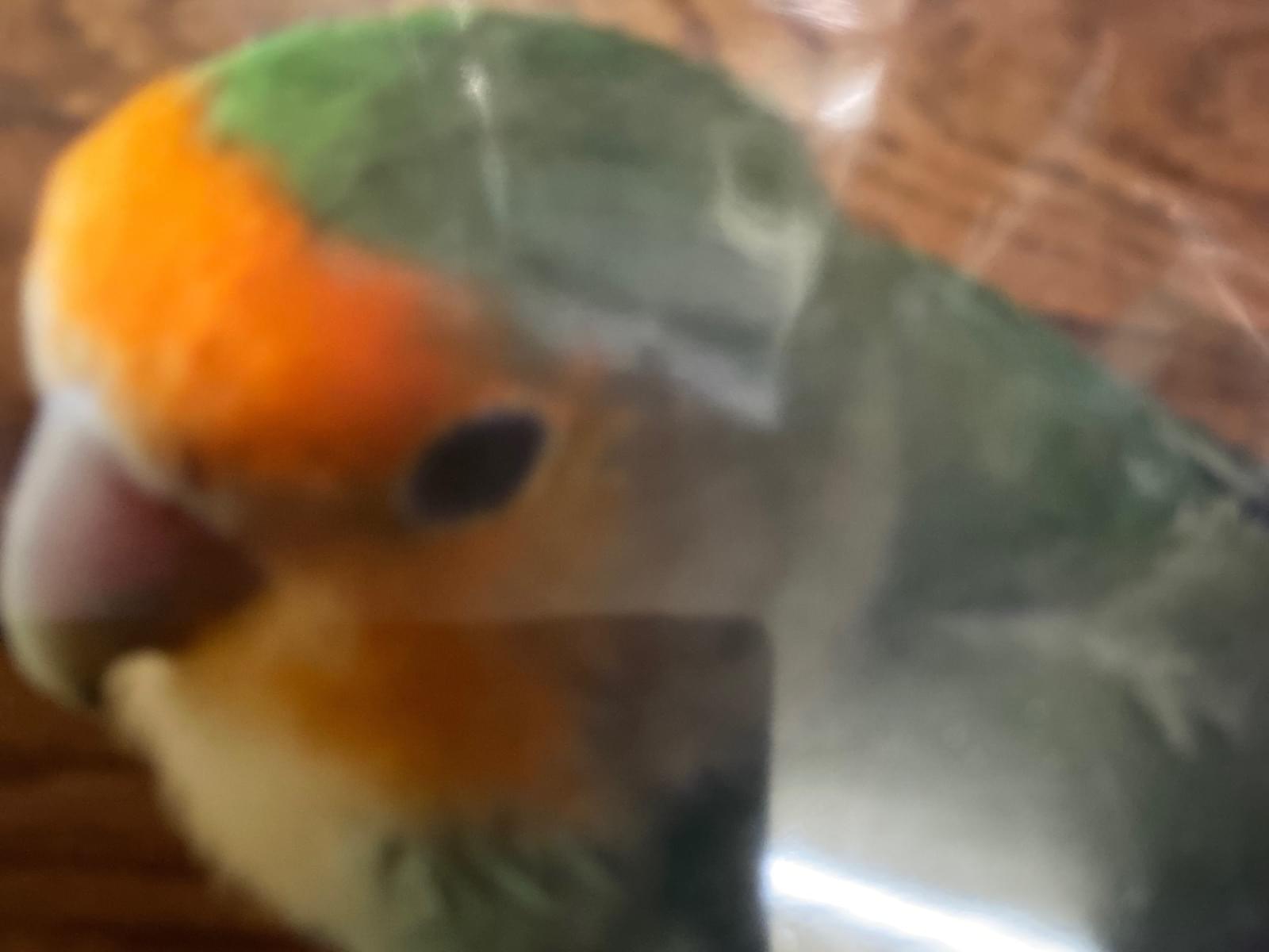 さくちゃん さくちゃん