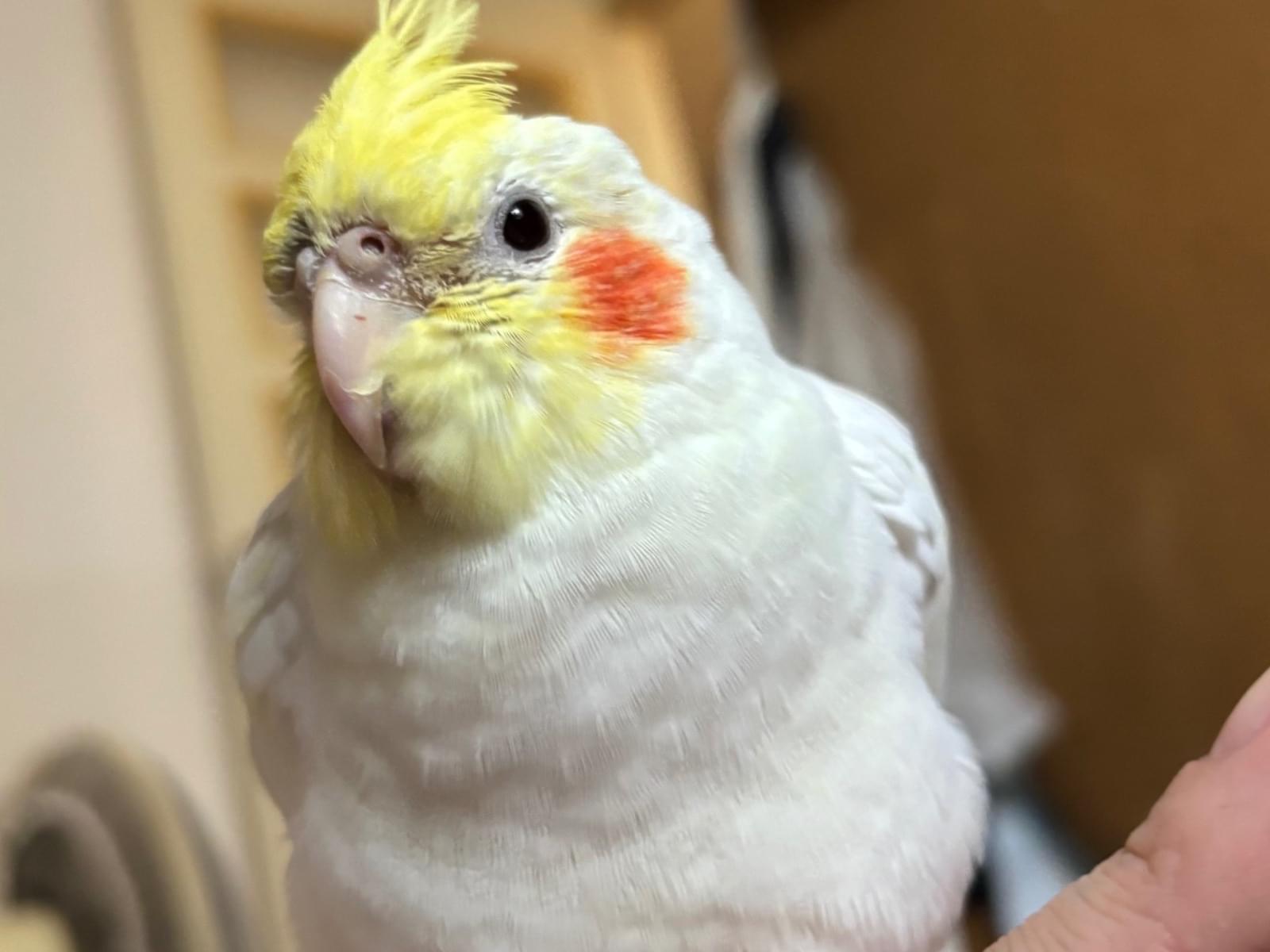 めいちゃん めいちゃん