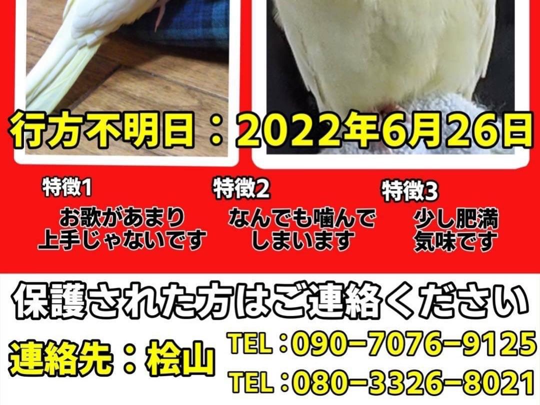 ちゅんちゃん ちゅんちゃん