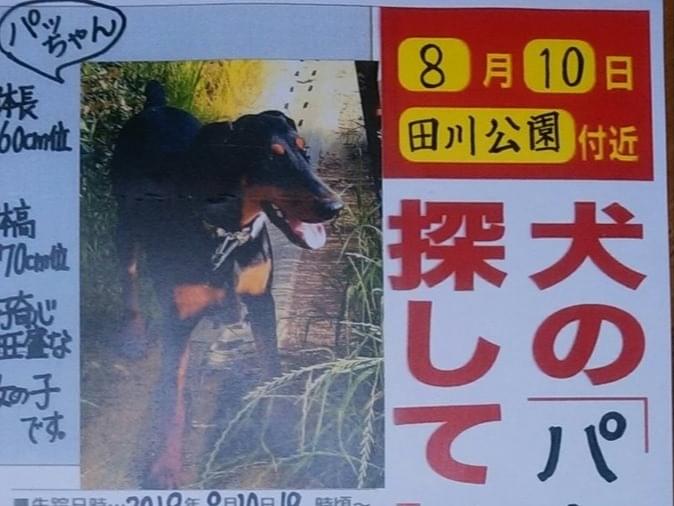 パトラちゃん パトラちゃん