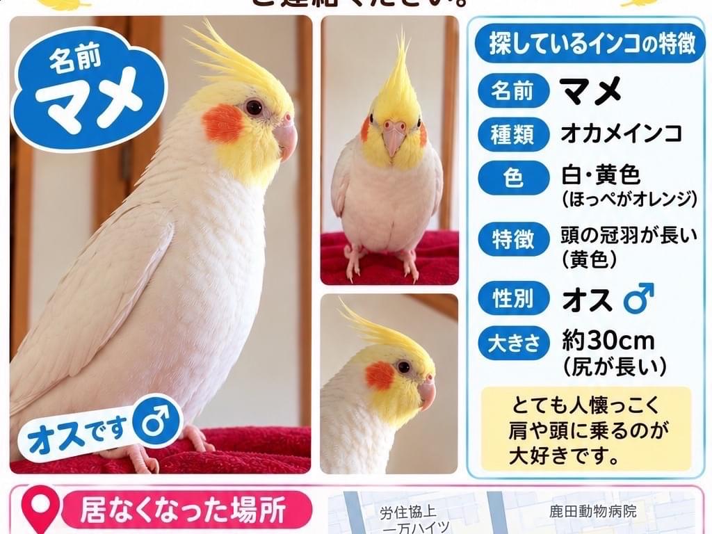マメちゃん マメちゃん