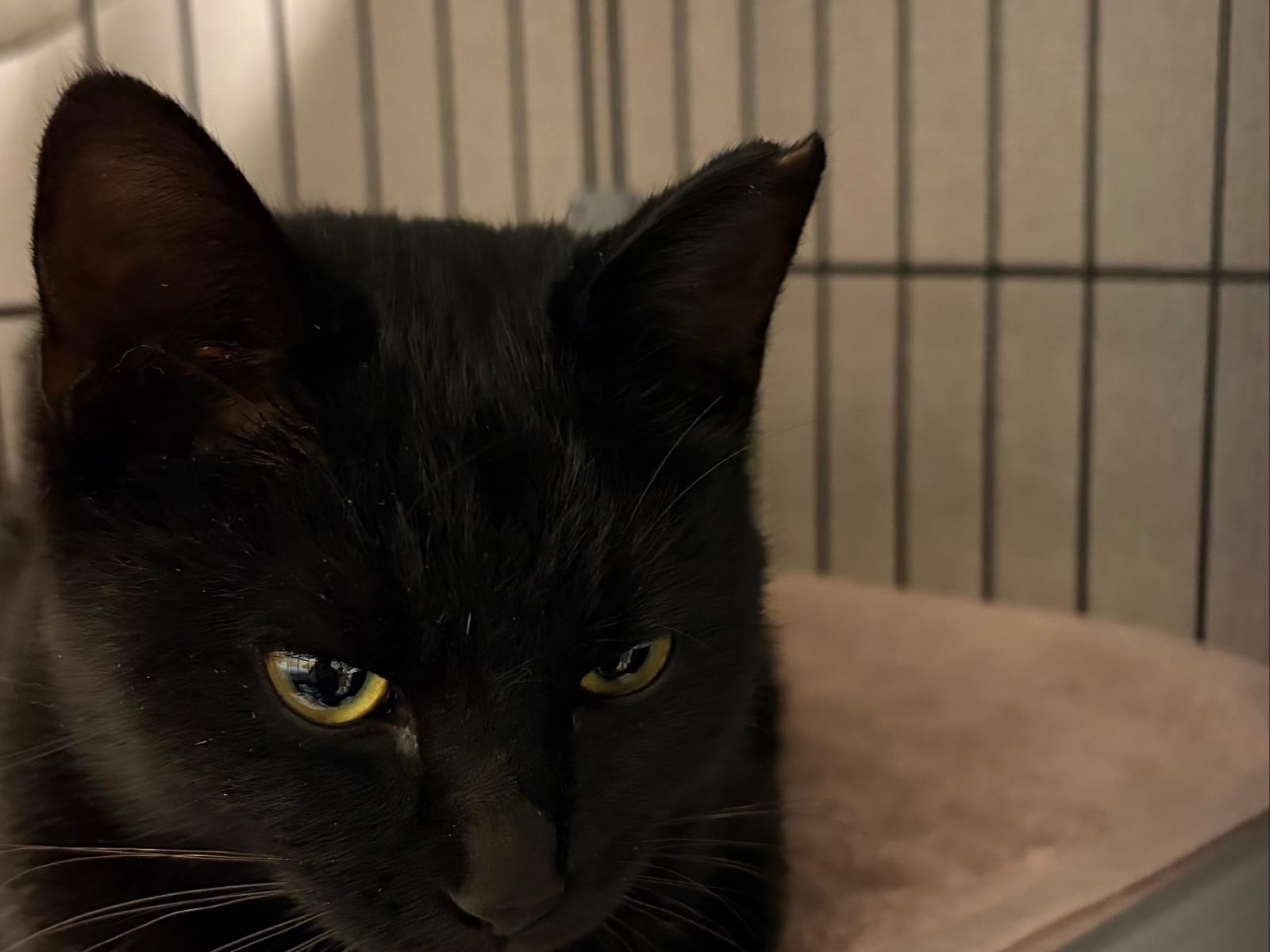 ちびちゃん ちびちゃん