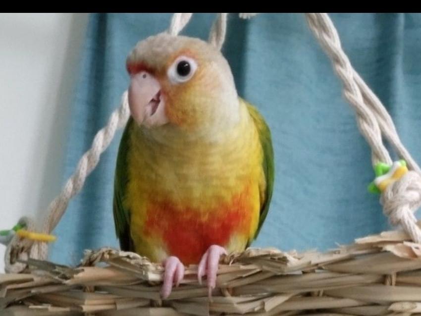 むーむーちゃん むーむーちゃん