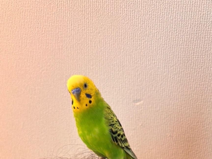すずちゃん すずちゃん