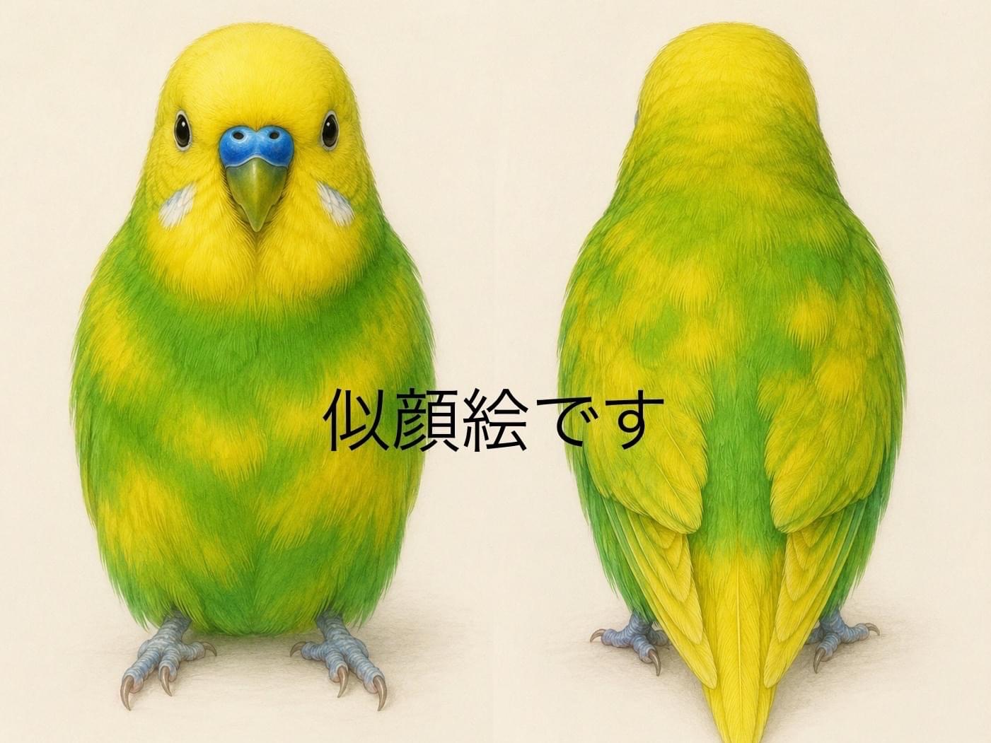 保護された鳥