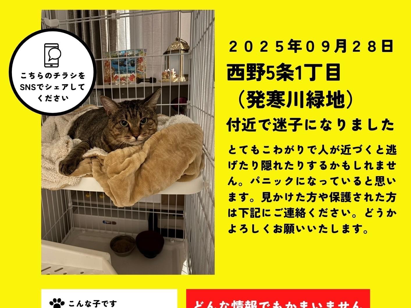 むぎちゃん むぎちゃん