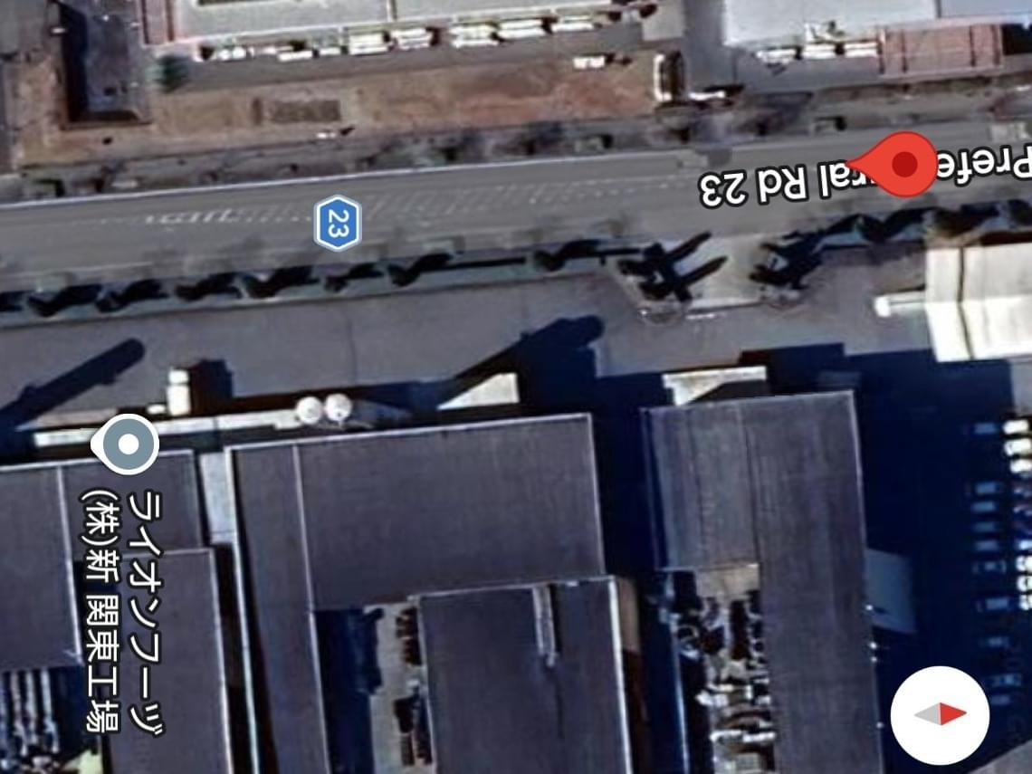 目撃された犬 目撃された犬